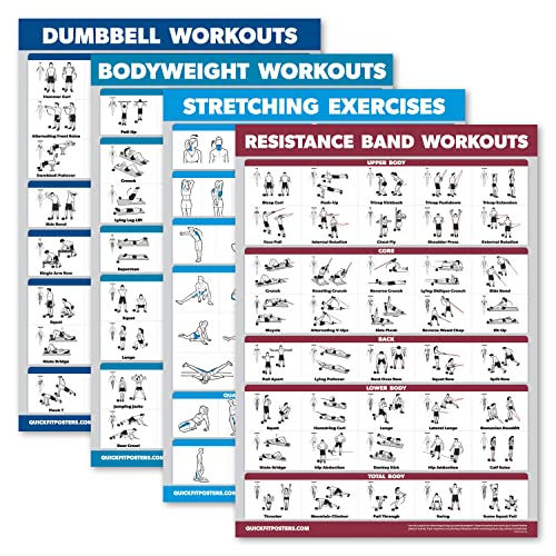 Palace Learning 4 Pack - Dumbbell Workouts + Bodyweight Workouts +...