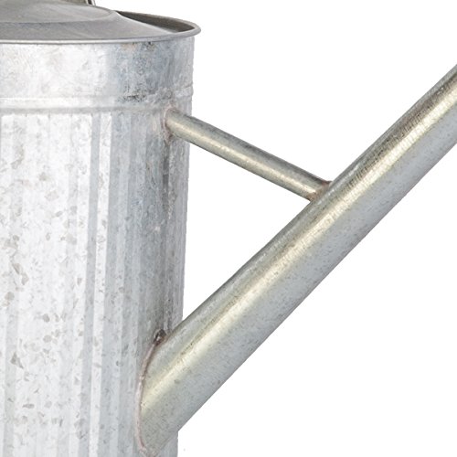 Panacea 086082 Watering Can