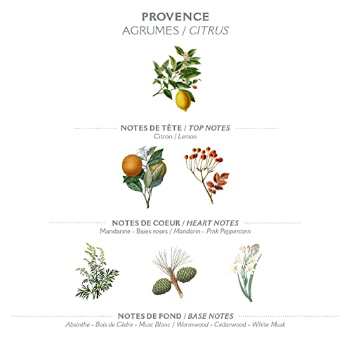 Panier des Sens Provence Hand cream for dry cracked hands with Oli...