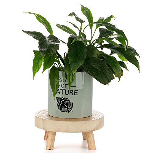 Panow Wood Grain Plant Stands Flower Pot Holder, Plant Display She...