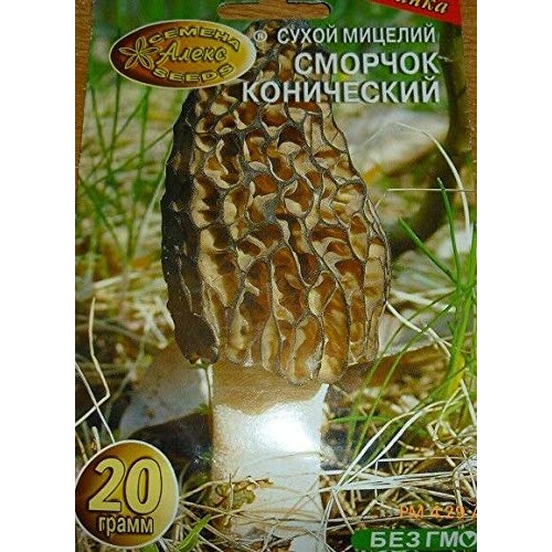 PAPCOOL Morel Conical Mushroom Dried Spạwn/Mycẹlium Factory Packed