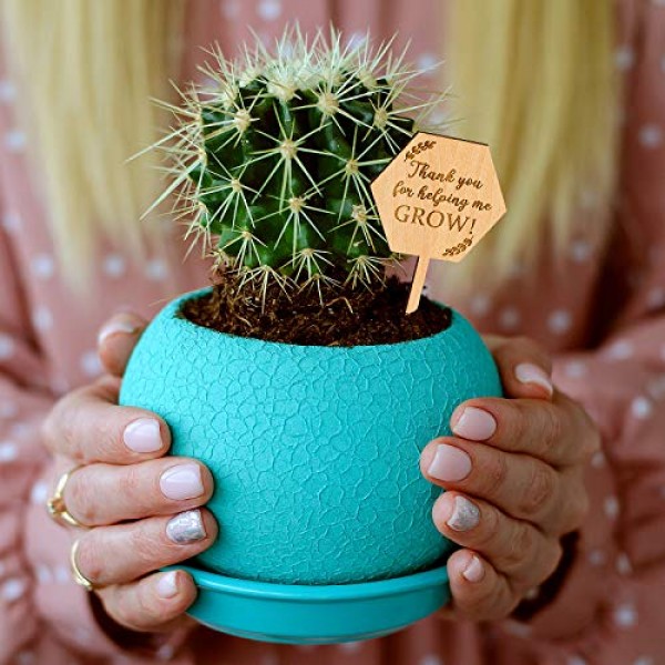 Thank You for Helping Me Grow Succulent Tags Teacher Appreciation ...