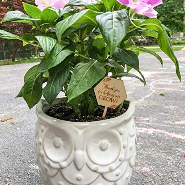 Thank You for Helping Me Grow Succulent Tags Teacher Appreciation ...
