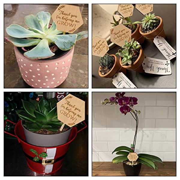 Thank You for Helping Me Grow Succulent Tags Teacher Appreciation ...
