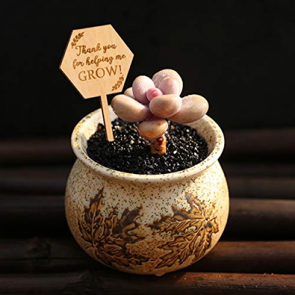 Thank You for Helping Me Grow Succulent Tags Teacher Appreciation ...