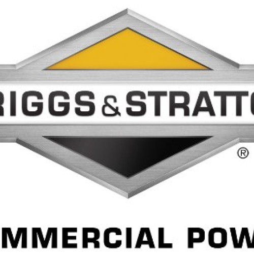 Patriot Products CSV-3065B 6.5 HP Briggs & Stratton Gas Powered Wo...