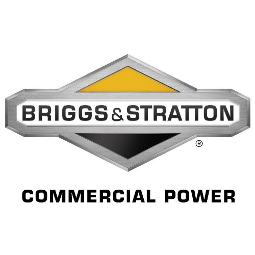 Patriot Products CSV-3065B 6.5 HP Briggs & Stratton Gas Powered Wo...