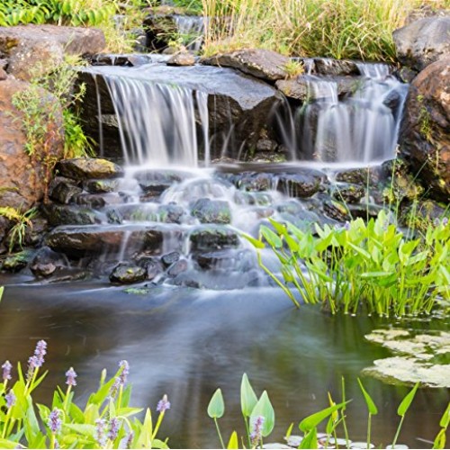 Piranha 5,500 GPH Direct Drive Submersible Pump - Up To 5,500 GPH ...