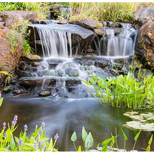 Piranha 5,500 GPH Direct Drive Submersible Pump - Up To 5,500 GPH ...