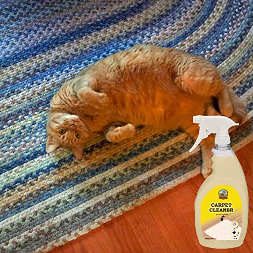 Pauls Pail 32-oz Carpet Stain Cleaner and Odor Eliminator Spray