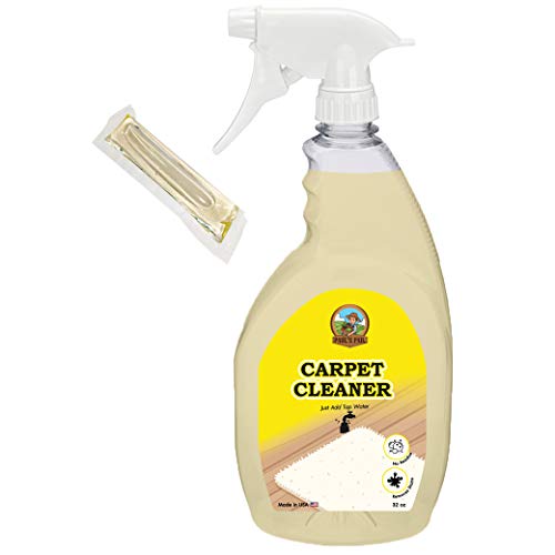 Pauls Pail 32-oz Carpet Stain Cleaner and Odor Eliminator Spray