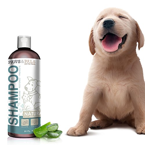 Paws & Pals Natural Oatmeal Dog-Shampoo And Conditioner - 20oz Med...