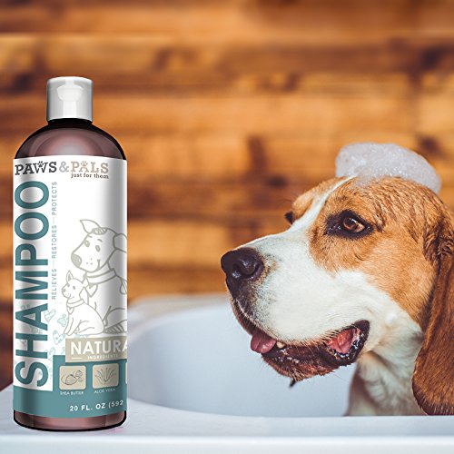 Paws & Pals Natural Oatmeal Dog-Shampoo And Conditioner - 20oz Med...