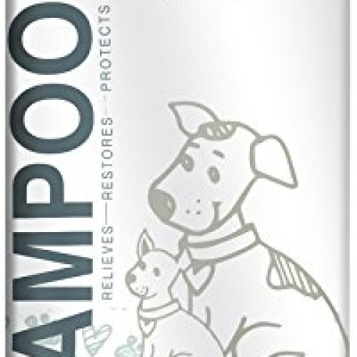 Paws & Pals Natural Oatmeal Dog-Shampoo And Conditioner - 20oz Med...