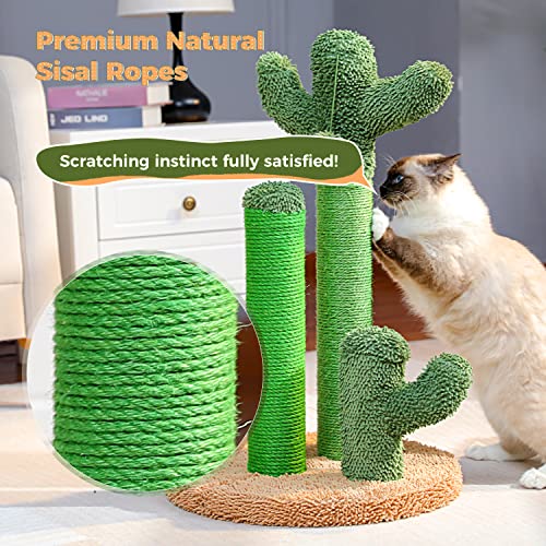 PAWZ Road Cat Scratching Post Cactus Cat Scratcher Featuring with ...