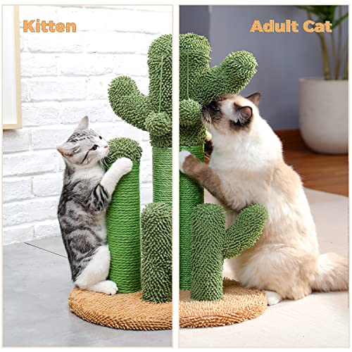 PAWZ Road Cat Scratching Post Cactus Cat Scratcher Featuring with ...