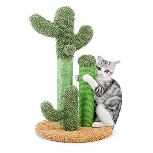 PAWZ Road Cat Scratching Post Cactus Cat Scratcher Featuring with ...