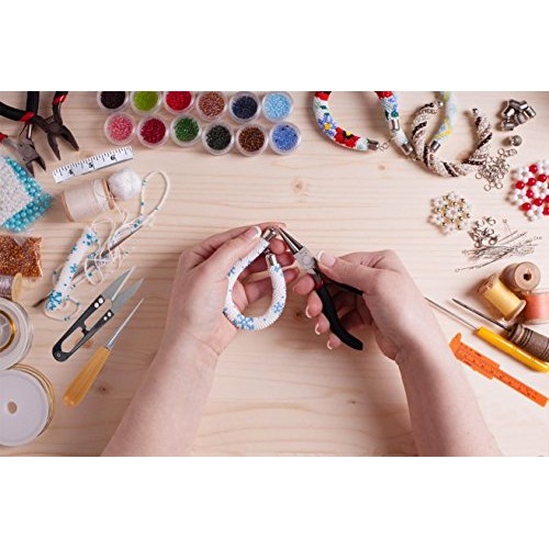 19Pcs Jewelry Making Tools Kit with Zipper Storage Case for Jewelr...