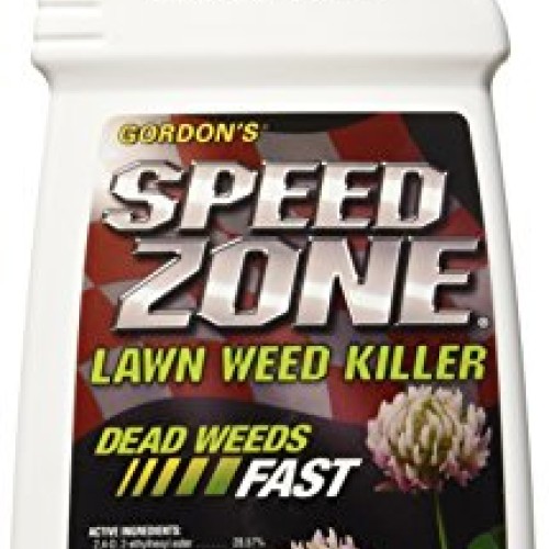 PBI/Gordon 652400 Speed Zone Lawn Weed Killer, 20-Ounce - Brown/A