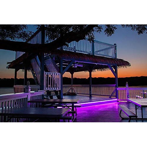 Pearlight DC12V Neon Led RGB Rope Light, Flexible/Waterproof/Multi...