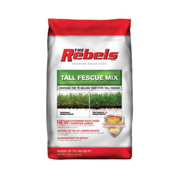 Pennington 100081768 The Rebels Tall Fescue Grass Seed, 3-Pound