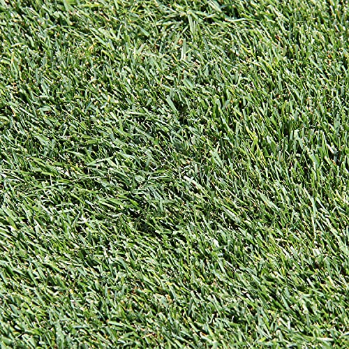 One Step Complete Tall Fescue 5lb. Grass Seed + Mulch + Fertilizer...