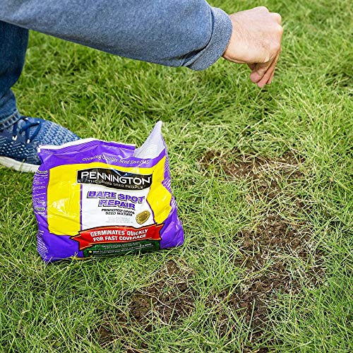 Pennington 100085410 Bare Spot Repair Grass Seed, 1 lb