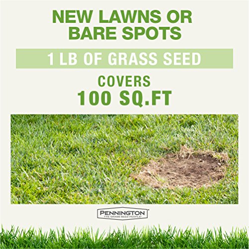Pennington 100085410 Bare Spot Repair Grass Seed, 1 lb