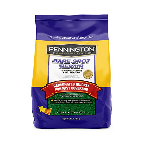 Pennington 100085410 Bare Spot Repair Grass Seed, 1 lb