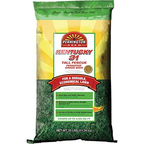 Pennington 100509303 Kentucky 31-Inch Tall Fescue Seed, 25-Pound