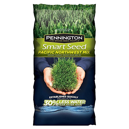 Pennington 100526646 Smart Pacific Northwst Pc 3lb Seed Mix, Green