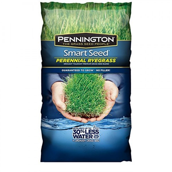 Pennington 100526658 Smart Seed, Green