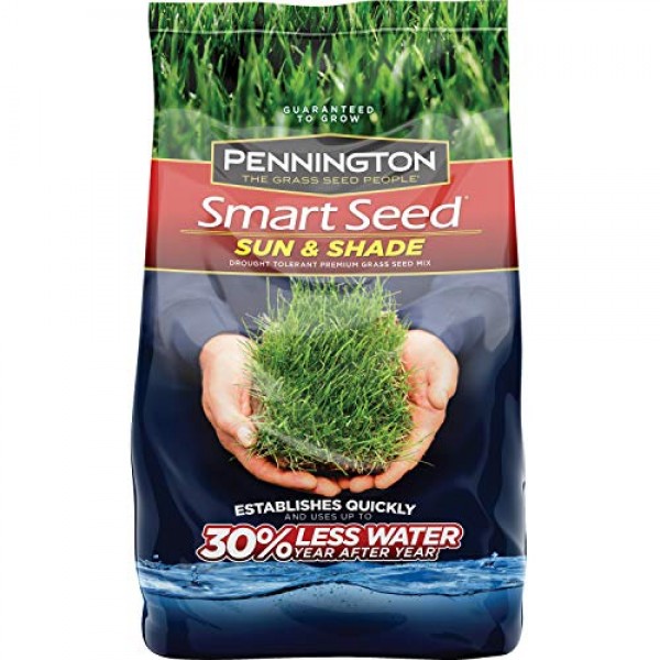Pennington 100526673 Smart Seed Sun and Shade Grass Seed, 20 LBS