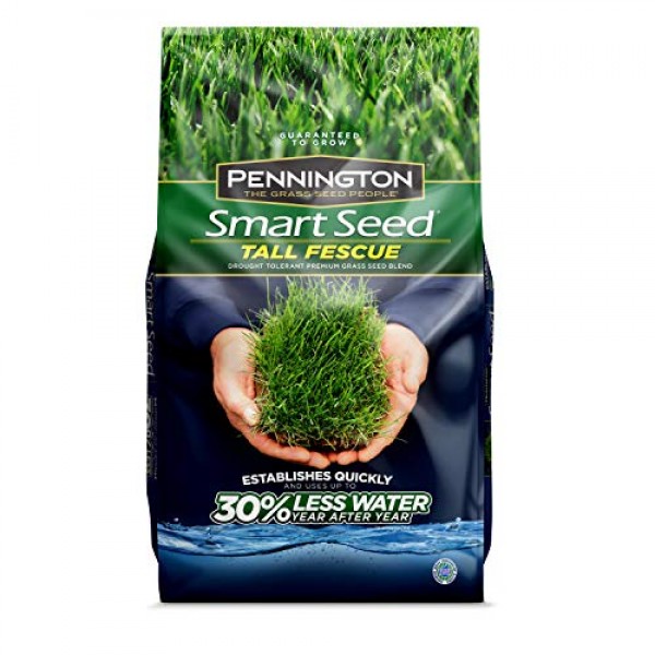 Pennington 100526679 Smart Seed Tall Fescue, 20 Pounds, Green