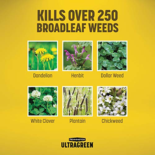 Pennington 100536600 UltraGreen Weed & Feed Lawn Fertilizer, 12.5 ...