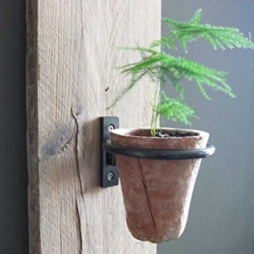 Pennington 2 Pcs Set Décor Wall Mounted Pot Ring Planter, Heavy Ri...
