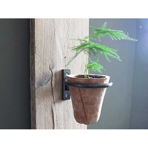 Pennington 2 Pcs Set Décor Wall Mounted Pot Ring Planter, Heavy Ri...