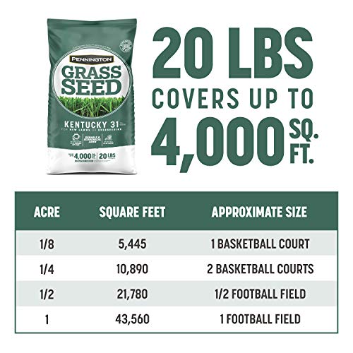 Pennington Kentucky 31 Tall Fescue Grass Seed, 20 Pounds