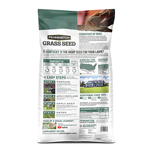 Pennington Kentucky 31 Tall Fescue Grass Seed, 20 Pounds