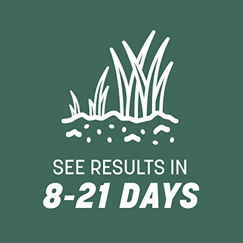 Pennington Kentucky 31 Tall Fescue Grass Seed, 20 Pounds