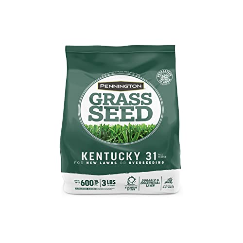 Pennington Kentucky 31 Tall Fescue Penkoted Grass Seed 3 lb