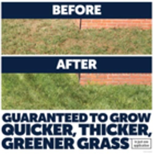 Pennington Lawn Booster Tall Fescue Mix Grass Seed & Fertilizer 9.6lb