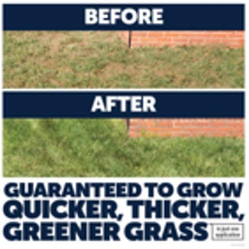 Pennington Lawn Booster Tall Fescue Mix Grass Seed & Fertilizer 9.6lb