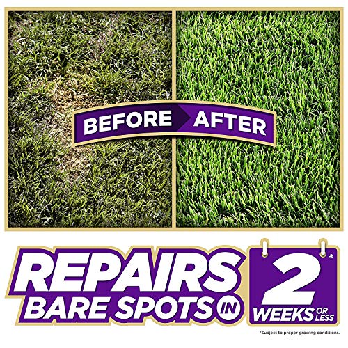 Pennington One Step Complete Dense Shade Bare Spot Grass Seed, 10 ...