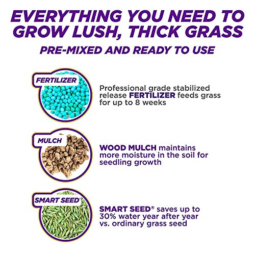 Pennington One Step Complete Dense Shade Bare Spot Grass Seed, 10 ...