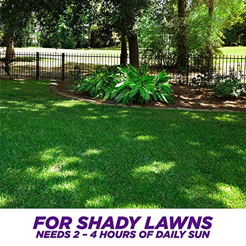 Pennington One Step Complete Dense Shade Bare Spot Grass Seed, 10 ...