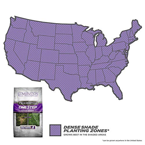 Pennington One Step Complete Dense Shade Bare Spot Grass Seed, 10 ...