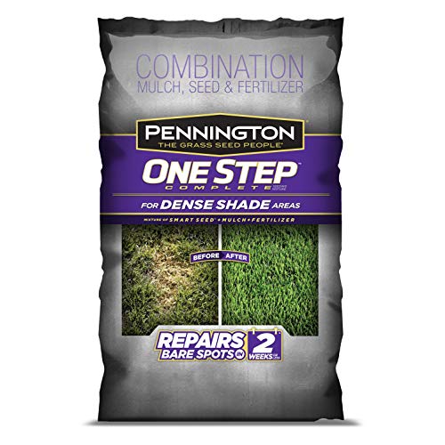 Pennington One Step Complete Dense Shade Bare Spot Grass Seed, 10 ...