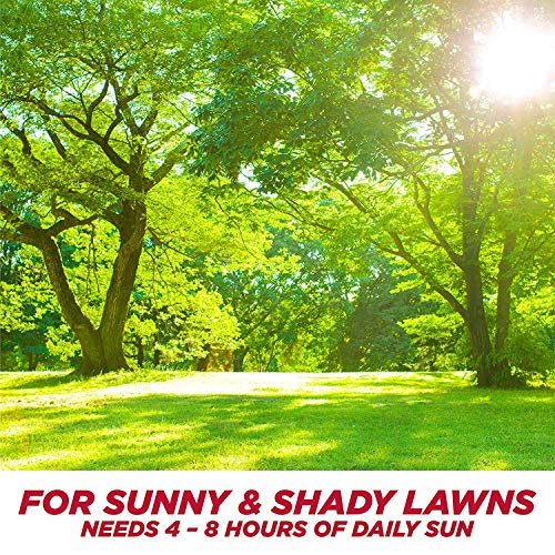 Pennington One Step Complete Sun & Shade Bare Spot Grass Seed, 10 ...