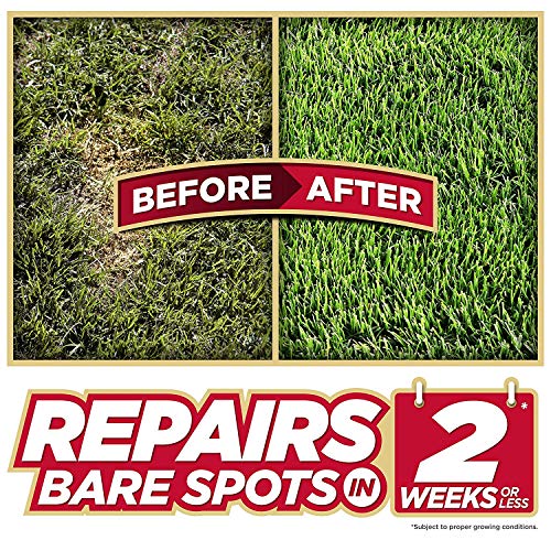 Pennington One Step Complete Sun & Shade Bare Spot Grass Seed, 10 ...